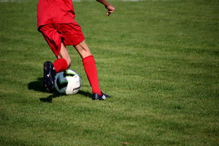 kaiyun电竞-篮球运动员心理健康维护与干预体系构建,篮球运动员心理训练